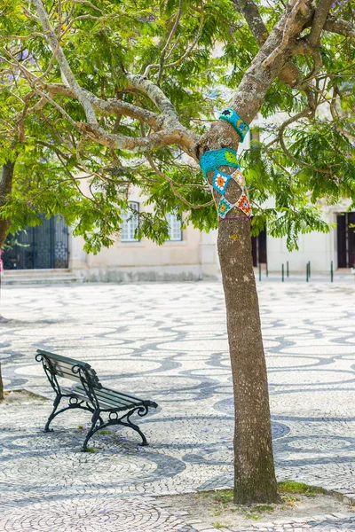 Yarn bombing in a tree. European park. — Stock Photo, Image