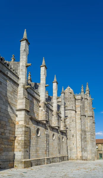 Фасадні Guarda собору. Португалія. — стокове фото