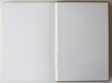 İlk sayfaya açılan kitap.