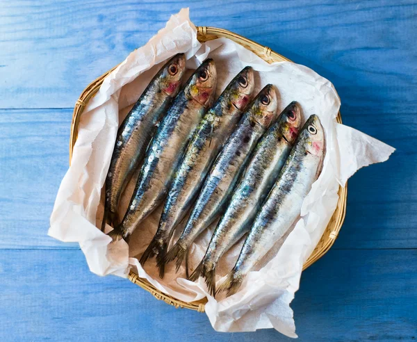 Sardine mediterranee fresche . — Foto Stock