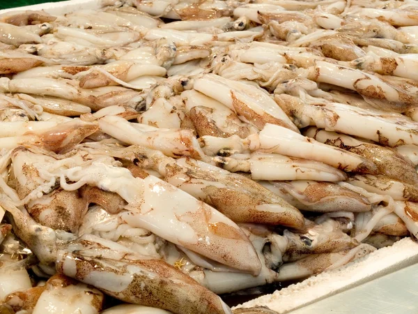 Calamari in un mercato. — Foto Stock