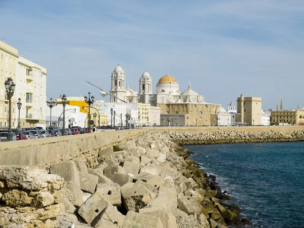 Cadiz katedrális, Paseo Campo del Sur Cadiz, Spanyolország. — Stock Fotó