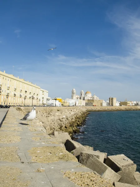 Catedral de Cádiz en Paseo Campo del Sur. Cádiz, España . — Foto de Stock