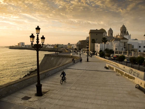 Cadiz Cathedral in Paseo Campo del Sur. Cadiz, Spain. — Stock Photo, Image