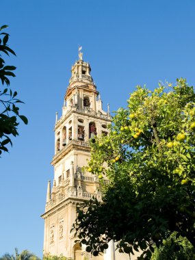 (Torre de Alminar Camii Katedrali, Mezquita de Cordoba içinde. Anda