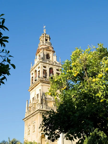 (Torre de Alminar na Catedral da Mesquita, Mezquita de Córdoba. Anda. — Fotografia de Stock