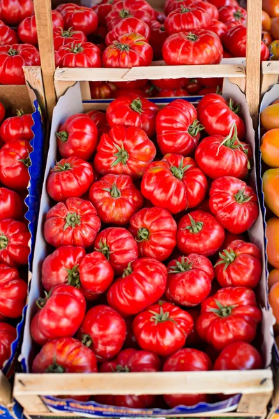 Tomates frescos en un mercado. — Foto de Stock