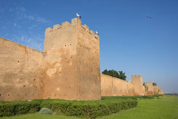 Almohad városfalak, Rabat, Marokkó. — Stock Fotó