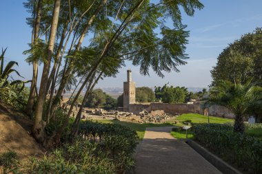Chellah nekropol kalıntıları. Rabat. Fas.