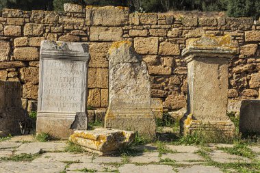 Roma şehir Chellah nekropol kalıntıları. Rabat. Fas.