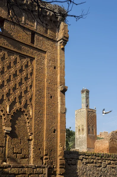 Meczet i minaret zniszczony nekropolii Chellah. Rabat. Maroko. — Zdjęcie stockowe
