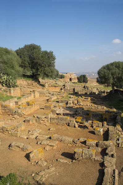 Überreste der römischen Stadt Chellah Nekropole. rabat. Marokko. — Stockfoto