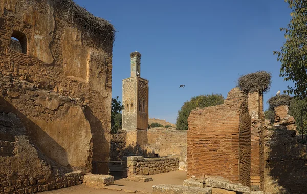 Moschee und Minarett der Nekropole von Chellah zerstört. rabat. Marokko. — Stockfoto