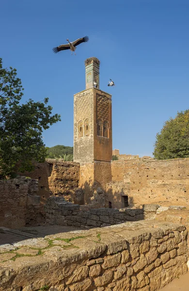 Minarett der Chellah-Nekropole. rabat. Marokko. — Stockfoto