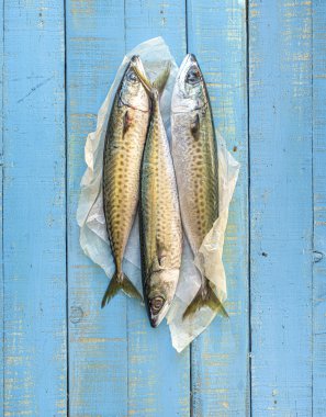 Üç taze mackerels.