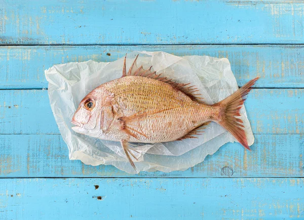 Porgy vis op een mediterrane blauwe houten tafel. — Stockfoto