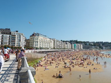 Concha Beach'te Concha defne. San Sebastian, İspanya.