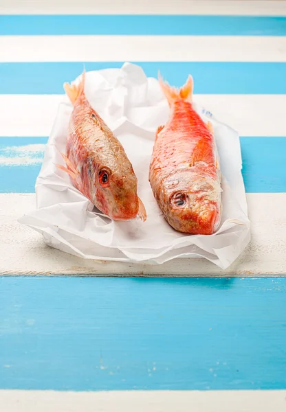 Um par de salmonetes vermelhos frescos . — Fotografia de Stock