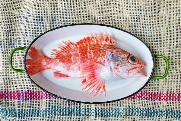Schorpioen vis op een vintage braadpan in jute-achtergrond. — Stockfoto