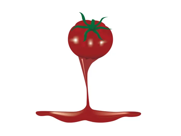Tomate Rouge Juteuse Fraîche Isolée Sur Fond Blanc Jus Tomate — Image vectorielle