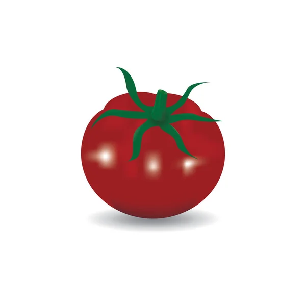 Tomate Rouge Juteuse Fraîche Isolée Sur Fond Blanc Illustration Vectorielle — Image vectorielle