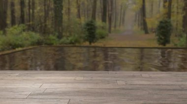 Ormanda, göletli ahşap zemin manzarası. Yağmurlu sezon ortamı. Yağmur bir göletin yüzeyine yağar..