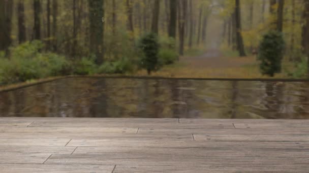 Landschap Van Houten Vloer Het Bos Met Vijver Regenseizoen Omgeving — Stockvideo