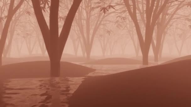 Forest Haze Trees Fog Dark Misty Forest Animation — Stock Video