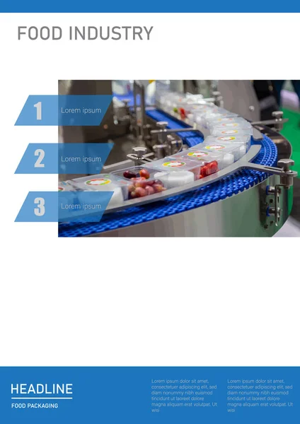 Ontwerp Van Template Voor Voedingsindustrie Formaat Bedrijfsrapport Van Voedselverwerkende Fabriek — Stockvector