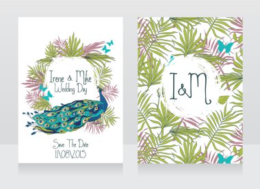 Kartlar güzel tavus kuşu ile düğün, kelebekler ve palmiye yaprakları