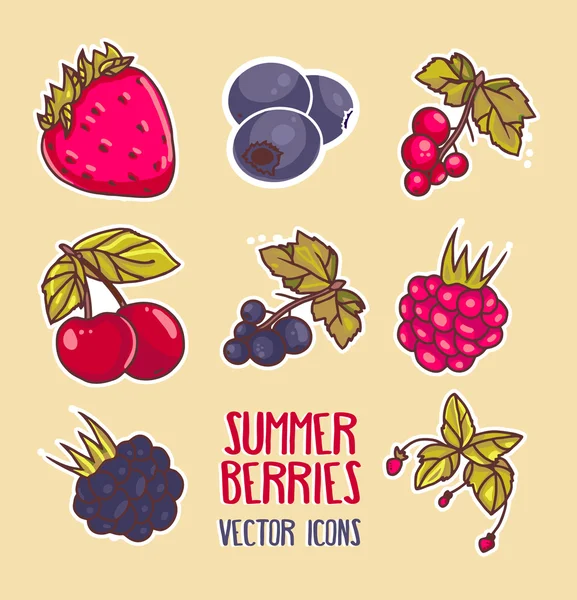 Illusztráció: nyár bogyók — Stock Vector
