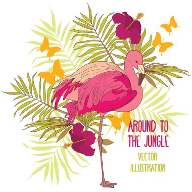 vektör çizim ile flamingo