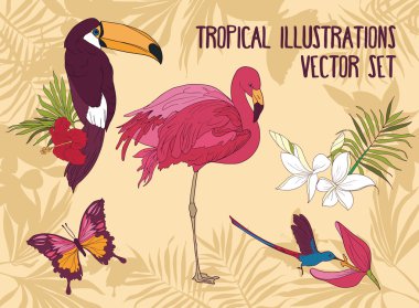 kuşlar ve çiçekler ormanda