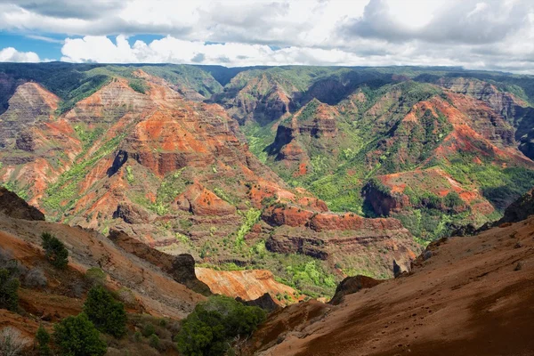 Waimea canyon op kaki eiland Hawaï — Stockfoto