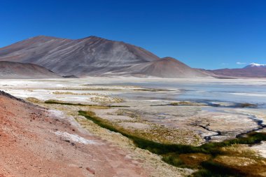 Parque nacional los flamencos Şili Güney Amerika