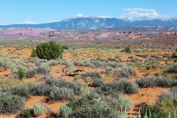 Montañas en el parque nacional de arcos USA utah — Foto de Stock