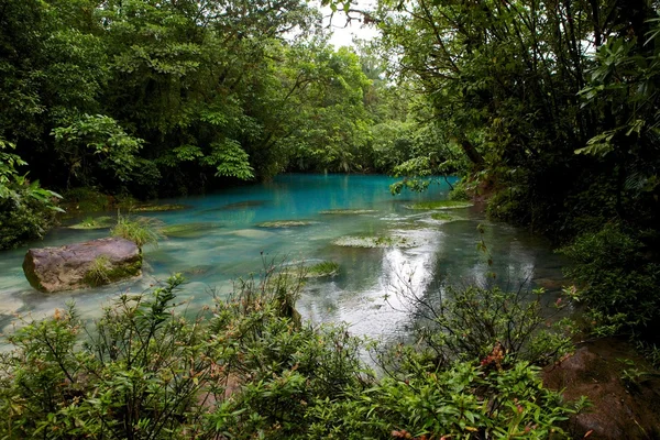 Rio celeste Kosta Rika Orta Amerika volkan tenorio Milli parkında
