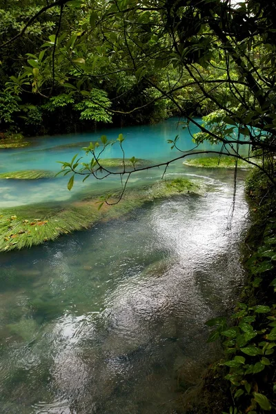 The rio celeste in the volcano tenorio national park in costa rica central america — Stock Photo, Image