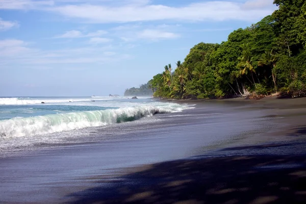 Corcovado Milli Parkı Kosta Rika Orta Amerika harika plaj Stok Fotoğraf