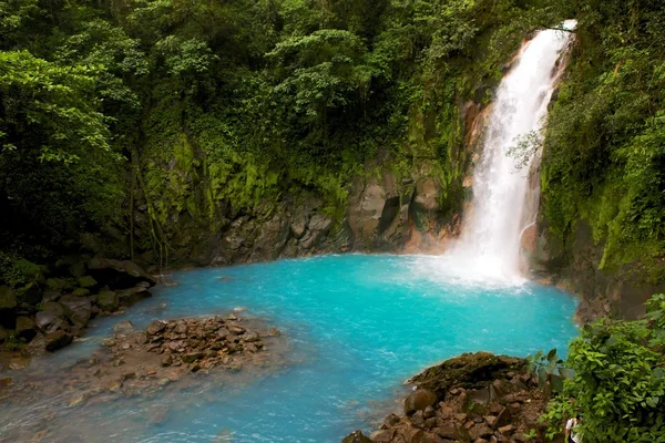 Volcan tenorio Milli Parkı Kosta Rika Orta Amerika'da gök mavi şelale Stok Resim