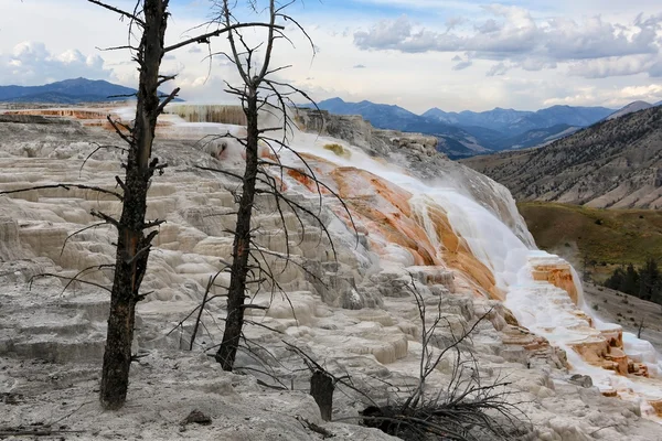 Mammoth Hot Springs nel Parco Nazionale di Yellowstone, Wyoming — Foto Stock