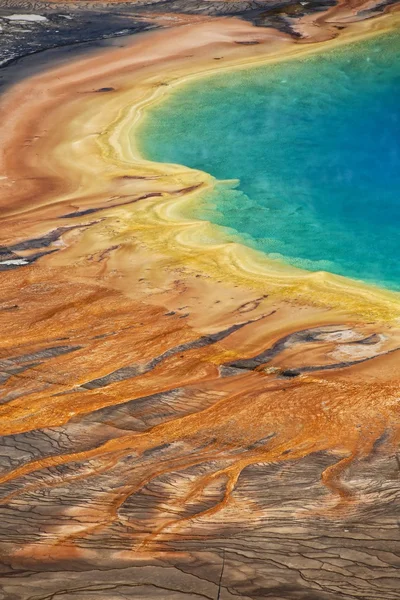 Detail of the grand prismatic at the yellowstone national park USA — Stock Photo, Image