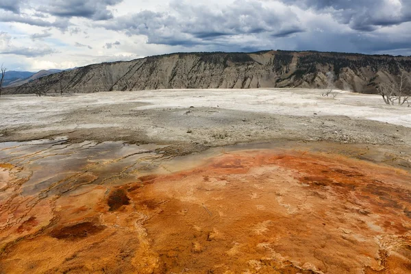 Mammoth Hot Springs, Yellowstone, Wyoming, Estados Unidos — Foto de Stock