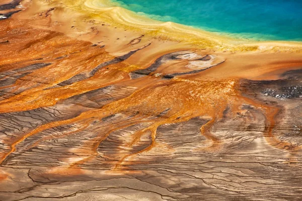 Detail of the grand prismatic at the yellowstone national park USA — Stock Photo, Image