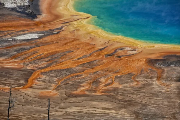 Λεπτομέρεια από το grand prismatic στο εθνικό πάρκο yellowstone ΗΠΑ — Φωτογραφία Αρχείου