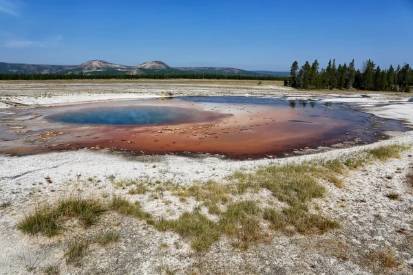 La piscina de color turquesa en el parque nacional de Yellowstone Estados Unidos — Foto de Stock