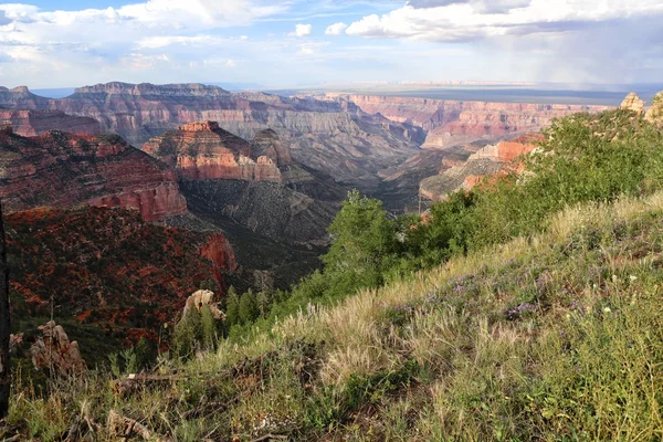 A csodálatos grand canyon nemzeti park északi szakasz — Stock Fotó