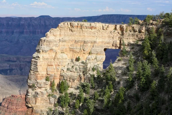 Arche im Grand Canyon Nationalpark Nordrand arizona USA — Stockfoto