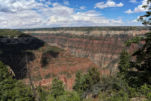 그랜드 캐니언 국립 공원 North Rim Arizona USA — 스톡 사진