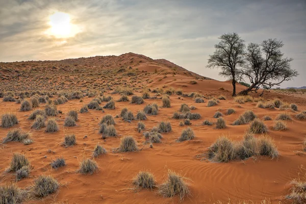 Zonsondergang over namib naukluft — Stockfoto